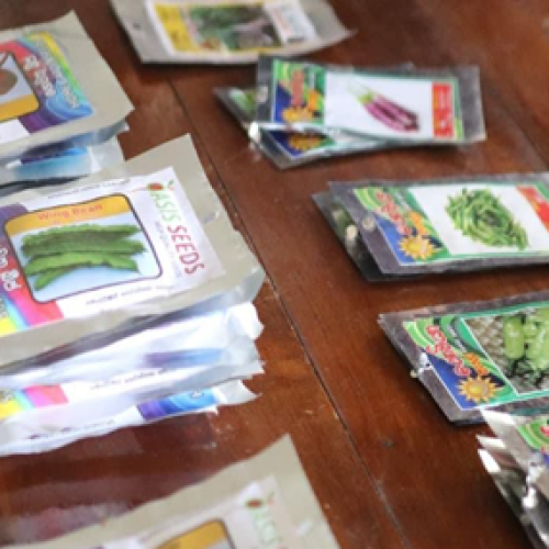 Handing over seeds, fertilizers, and plants