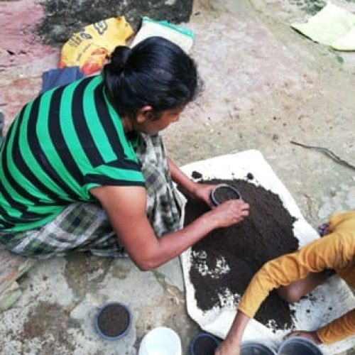 Home gardeners’ families mixing the soil before sowing seeds in their gardens