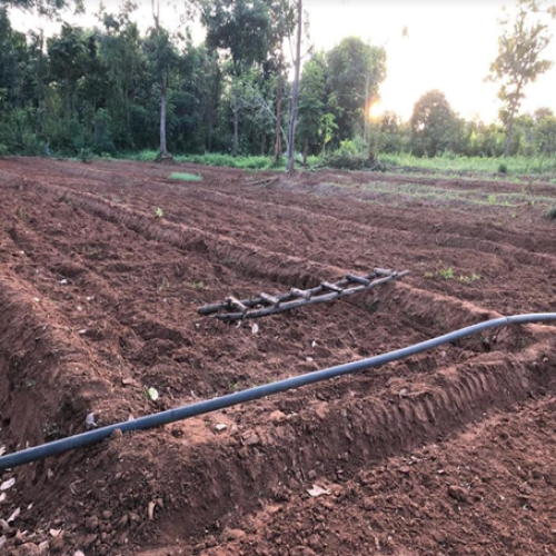 Preparing the ground / Ploughing the fields