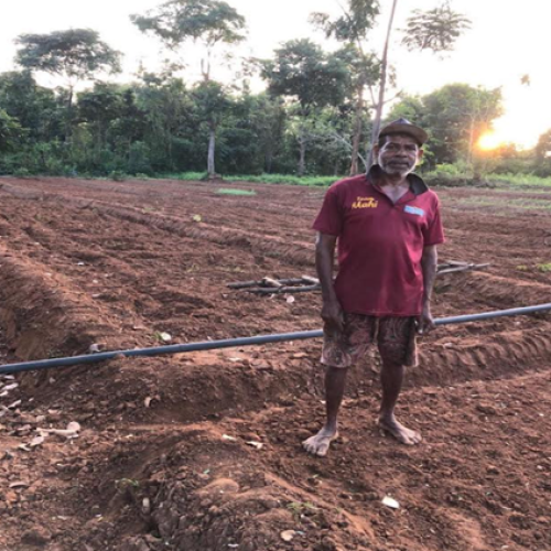 Preparing the ground / Ploughing the fields