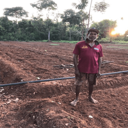 Preparing the ground / Ploughing the fields